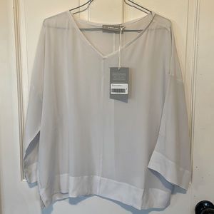 NWT Everlane V-neck 100% Silk grey/White blouse size 4